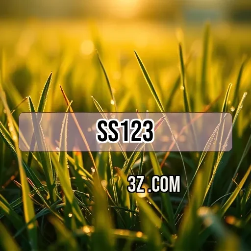 ss123.com Casino Ao Vivo